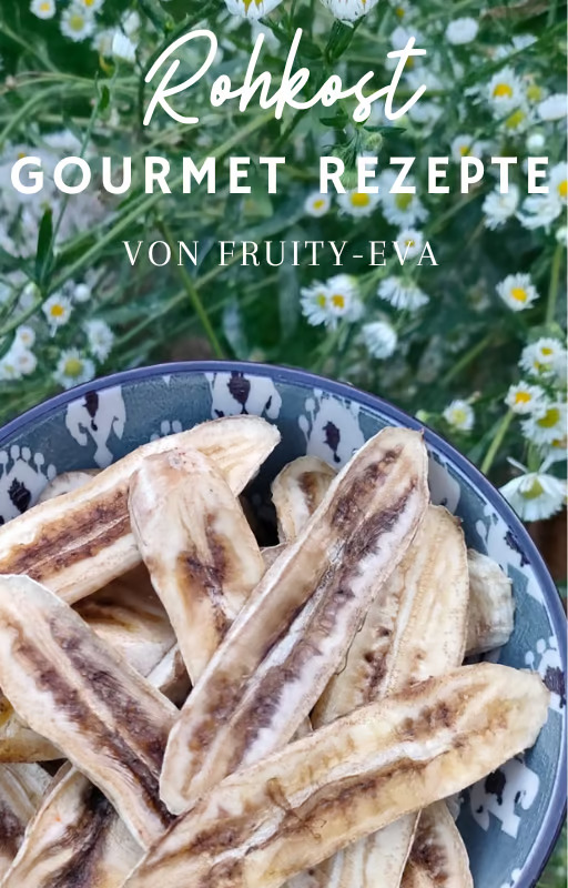 Gourmet Rohkost Rezepte